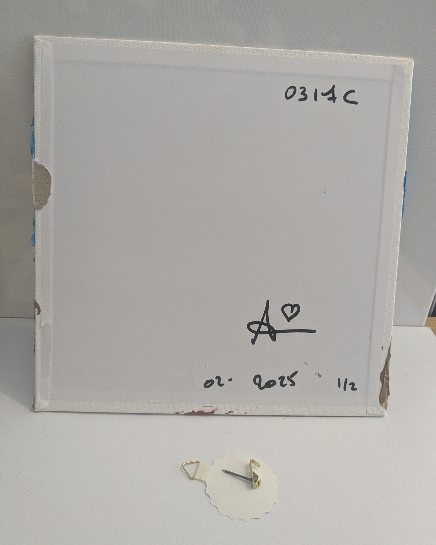 0317C - Diptyque peintures acryliques originales 25x25cm (2025)